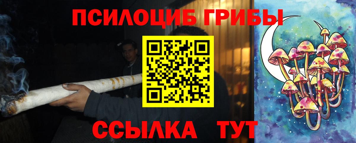 Псилоцибиновые грибы Cubensis Светлоград