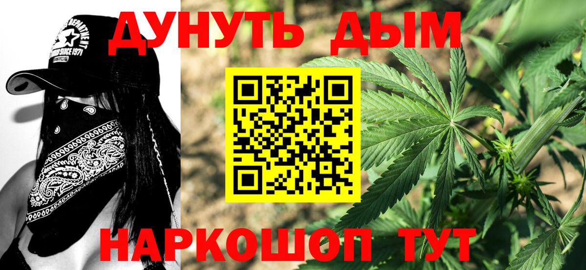 Каннабис план Светлоград